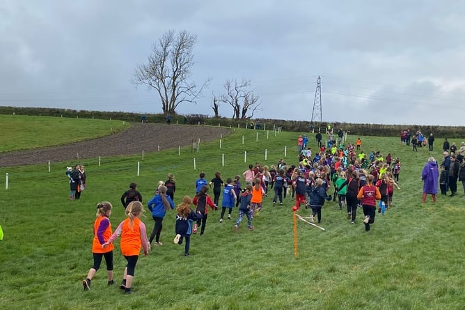 Landrake Cross Country