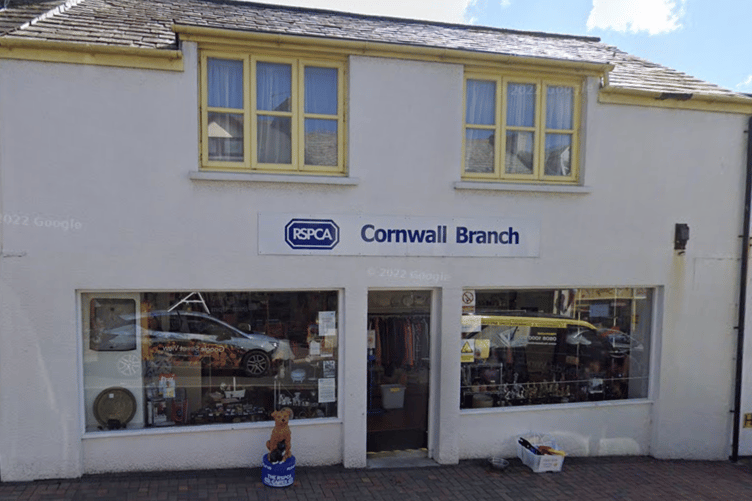 RSPCA Cornwall branch in Bude (Picture: Google)