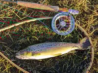 Water levels rise across South West Lakes Trust sites