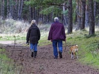 National Trust opens up garden to dogs