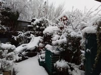 Weather warnings issued as 'Pembrokeshire Dangler' strikes again