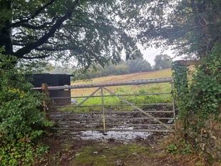 Fifth refusal for hedgerow plan 