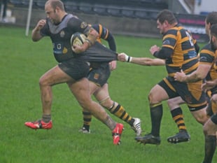 Castles roar back to see off Newquay Hornets