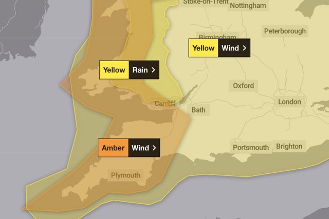 RSPCA issues advice as Storm Darragh moves in across the UK tonight