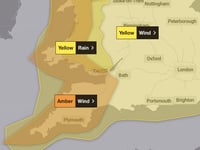 RSPCA issues advice as Storm Darragh moves in across the UK tonight