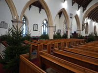 Christmas trees ready for decorating ahead of festive event
