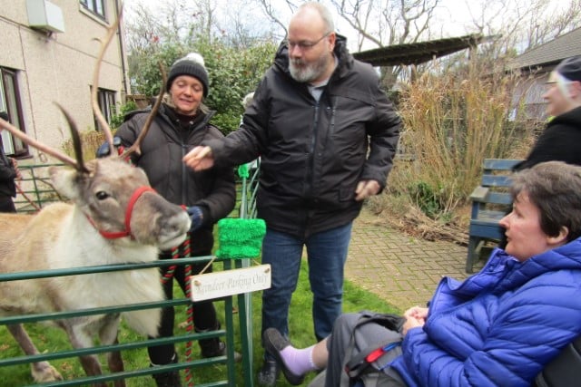 Residents got the opportunity to get up close and personal with their new festive friends