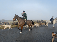 Foggy day for Boxing Day hunt meet