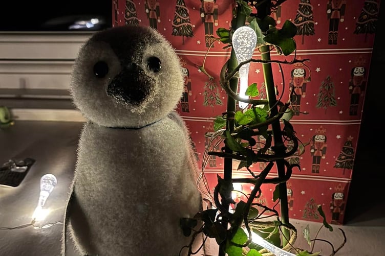 Callington Lions Club's Hayley Patton helped cook and was taught how to make a little Christmas tree from bamboo and ivy by two little girls from a family who joined in the feast. (Picture: Hayley Patton)