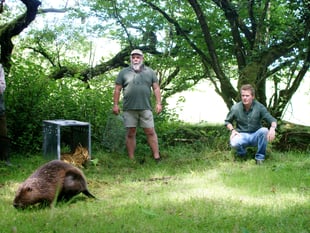 Neighbours accused of "kidnapping" beavers