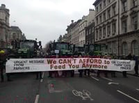 LETTER: Don't be duped by Conservatives farming protest backing