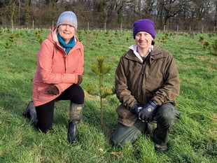 Farm land turned into forest of the future with thousands planted
