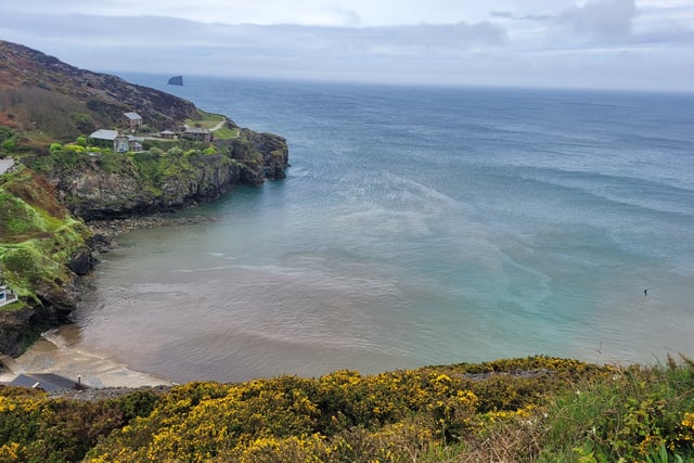 Cornwall Council backs motions to tackle sewage and litter