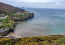 Cornwall Council backs motions to tackle sewage and litter