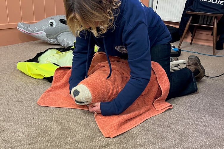 Michaela Gilbert-Smith demonstrating to the Week St Mary Bonaventures Women’s Institute how the volunteer Marine Mammal Medics have to handle baby seals (which are normally a lot smaller than the model)