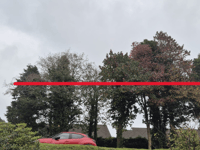 Planning: Council refuse proposals to reduce height of protected trees