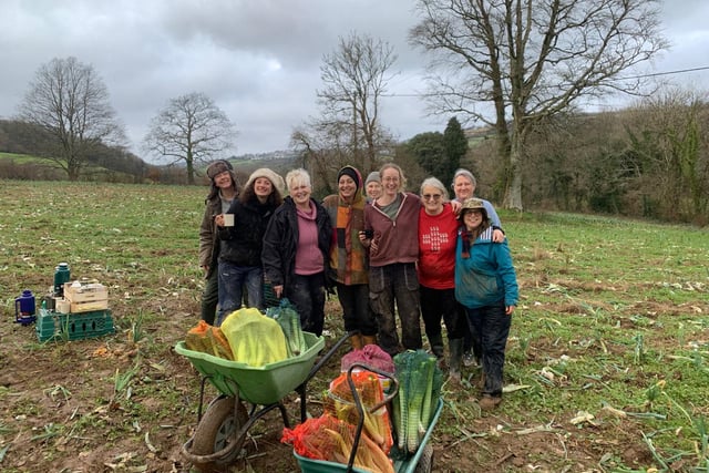 Charity out to ensure no food goes to waste in Cornwall