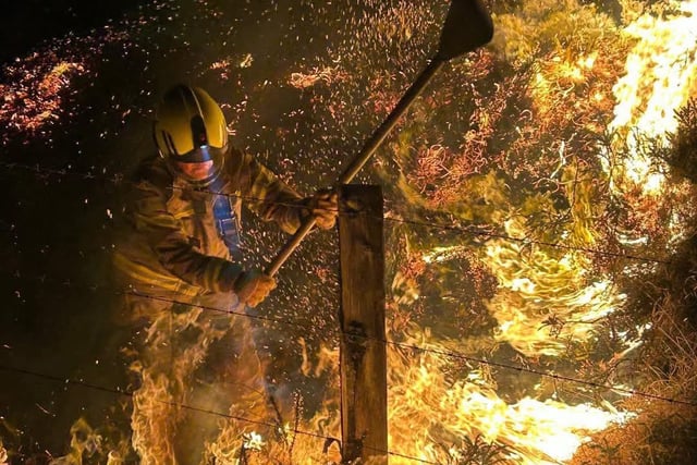 Arson attack at a nature reserve has "devastating” impact on wildlife