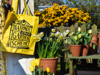 The National Garden Scheme celebrates Gardens and Health Week