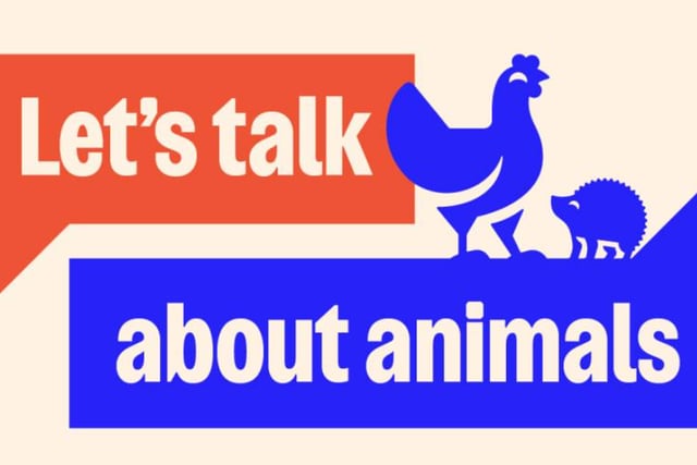 Does Cornwall have the next ‘big idea’ for animal welfare?