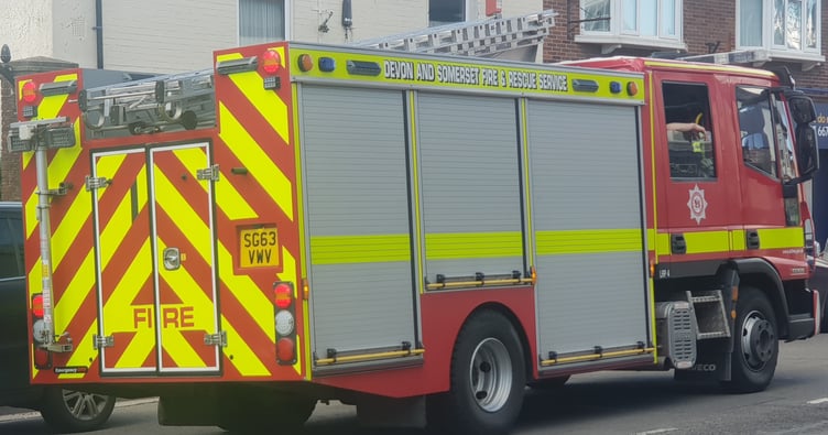 Two Wellington fire crews attended a kitchen blaze in the town.