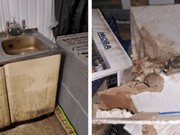 Cornish egg farm owner fined almost £15,000 for food hygiene breaches