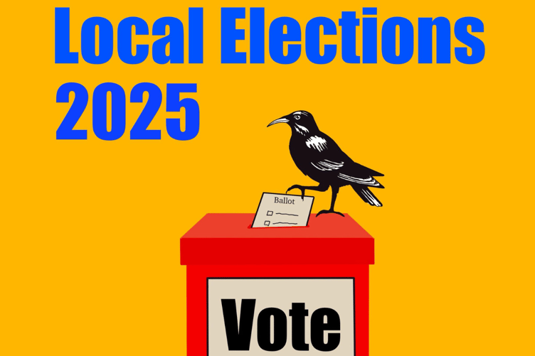 Cornwall Local Elections Graphic