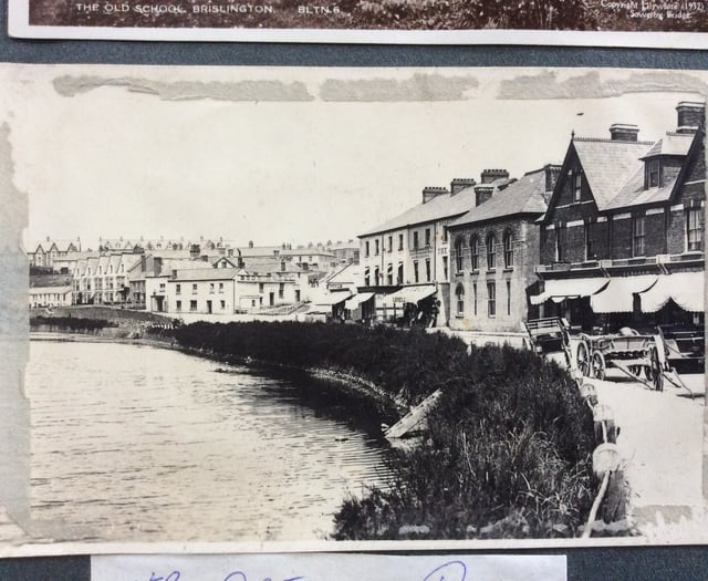 Looking Back: Love affair between a gander and a heifer