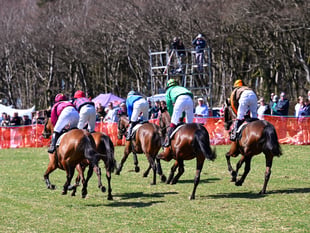 Point 2 Point: Shaw and Supple shine at Cherrybrook