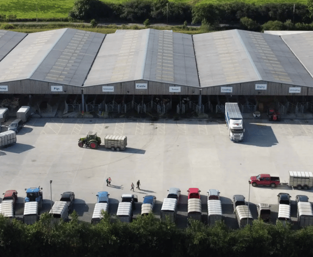 Consultation on agri-hub plans announced