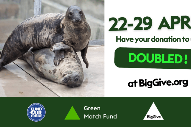 Seal sanctuary launches new campaign aimed at doubling donations