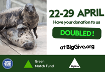 Cornish seal sanctuary launches new campaign aimed at doubling donations