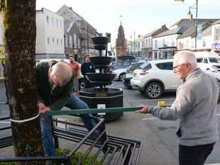 Guardians of the Great Tree of Holsworthy discover 'angel number' 