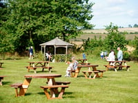 National Beer Garden Day: celebrate by supporting your local in Cornwall, as pubs and bars continue to shut across the UK