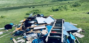 MP calls for action amid "flood" of fly tipping incidents