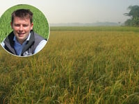 Lower yielding dry spring encourages grass season extension