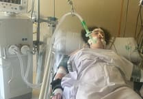 Help bring Okehampton vet nurse home