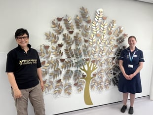 New Memory Tree at Derriford's Snowdrop Suite to remember baby loss
