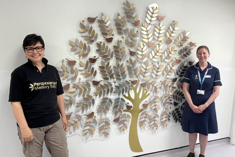 The newly installed Memory Tree at Derriford's Snowdrop Suite will give bereaved parents the opportunity to have a leaf engraved in memory of their baby. (Picture: Plymouth Hospitals Charity)