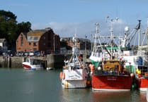 How Earthshot Finalist is transforming Padstow Harbour biodiversity
