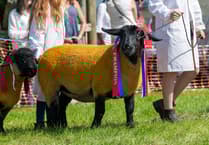 Woolsery Show: A day of fun for all the family