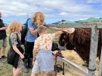Show promises to be a hub of activity