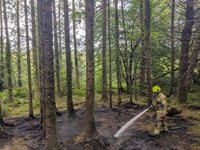 Cornwall Fire and Rescue Service issue warning after woodland fire