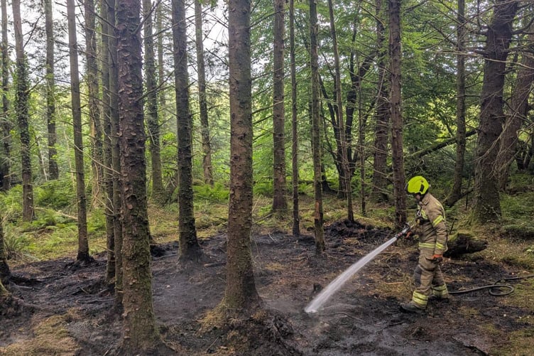 A fire fighter from Wadebridge Community Fire and Rescue Station extinguishing the fire at Grogley Woods (Picture: Cornwall Fire and Rescue Service)