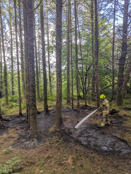 A fire fighter from Wadebridge Community Fire and Rescue Station extinguishing the fire at Grogley Woods (Picture: Cornwall Fire and Rescue Service)