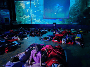 Students enjoy sleepover at the UK's largest aquarium