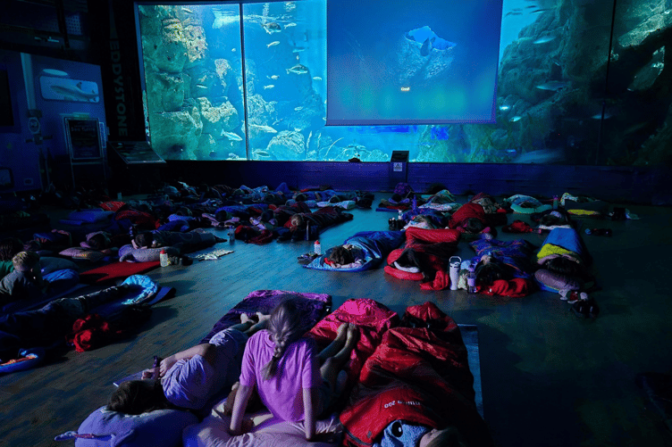 Egloskerry National Aquarium Sleepover