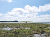 Nature returns to Crowdy reservoir