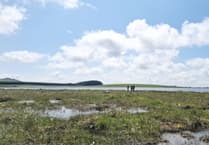 Restoration brings wildlife back to Crowdy reservoir