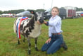 Launceston Show shines under damp grey skies
